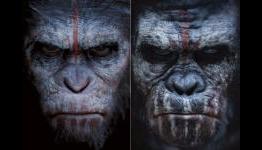 The Truth About Caesar and Koba