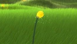 Flower Retrospective Review