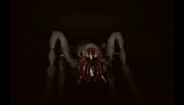 New Quadrant Footage Features a Giant Alien Spider
