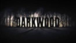 First Impressions Review: Darkwood | SHD