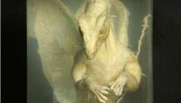 Special: Dragons, Virtual Reality, And Other Delusions…
