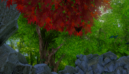 Eden River Gets A First Look