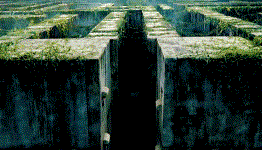‘The Maze Runner’ Clip Introduces Walled-Off World