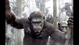 How Our Evolving Understanding Of Animals Is Changing Cinema