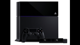 New Exclusive Game for PS4 is Wild