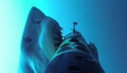 Google coats its sub-sea cable in Kevlar to prevent from shark attacks