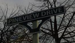 Pineview Drive Review – A Pixelated Review