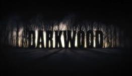 Darkwood Review | A Pixelated View