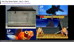 An Interview With FishPlayStreetFighter’s Andrew Hill