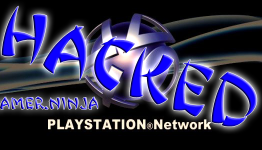 PlayStation Network Still Down & Flight Grounded