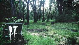 P.T. – The Perfect Announcement
