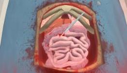 Watch TSA Play Surgeon Simulator Co-operatively On PS4