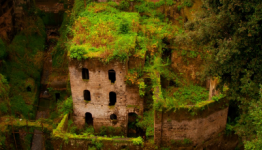 The InRetroSpect Show – Episode 5: Plants Vs Zombies, Silent Hills and Far Cry 3