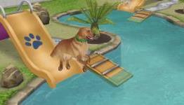 The Sims FreePlay ‘Pet Paradise’ revealed, coming soon