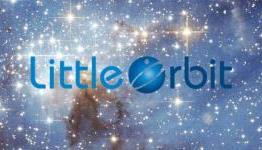 Little Orbit acquires developer Vicious Cycle