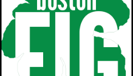 Big changes are coming to this year’s Boston FIG convention