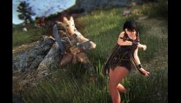 Black Desert Final Beta Boss Fight Video Released