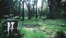 How to make a great survival horror