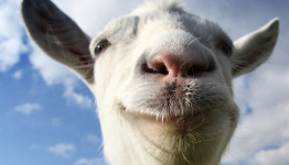 Goat Simulator Releases on iOS and Android Two Days Early