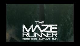 The Maze Runner movie will get a sequel