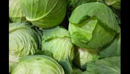 10 Outcomes for Cabbage in Harvest Moon 3D: the Lost Valley