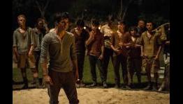The Maze Runner Review | Cinelinx