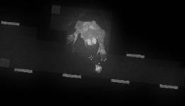 From Nope Hunter to Noct: how Imgur helped fund one man’s survival horror game