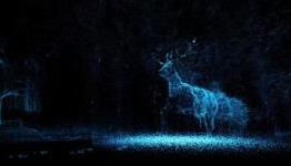 A Light In Chorus Hands-On | GamesFiends