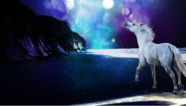 6 failed crowdfunding campaigns for online horse simulators