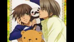 Junjo Romantica Season 1 Complete Collection Litebox Anime DVD Review | Fandom Post