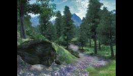Andy’s Fitness Corner: “Peace of Akatosh”