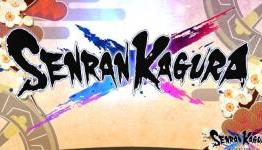 PS Gamer Review – Senran Kagura Shinovi Versus