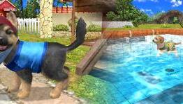 Petz Beach TV Trailer Released For Some Reason, Game Available Now