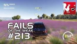 Fails of the Weak – Volume 213