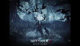 The Witcher 3 – half hour of brand new gameplay