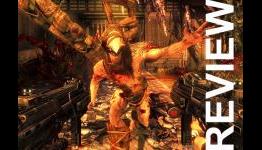 Shadow Warrior Review by The Black Panel
