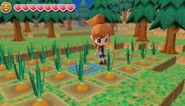 5 Harvest Moon: The Lost Valley Flaws
