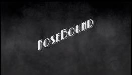 NoseBound, a Gritty Film Noire Style Adventure