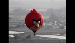 Angry Birds Cricket Game? Rovio Wants You to Make One