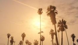 HITC’s Sunday Screenshots: GTA V