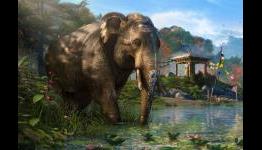 Far Cry 4: Graphics cards benchmarks