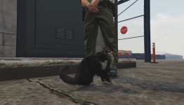Why didn’t anyone tell me you can become a cat in Grand Theft Auto V?