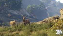 Grand Theft Auto V Has More, Er, Grass on PlayStation 4