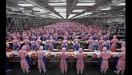 Foxconn Unit to Build Dedicated Taiwan Display Plant