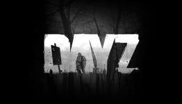DayZ 2015 Development Roadmap, Price Increase