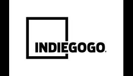 IndieGogo’s Best Released Games… So Far