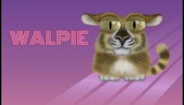 Meet Walpie the Cat