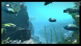 ChristCenteredGamer World of Diving Preview