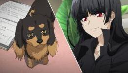Dog & Scissors Eng Dub Cast Announced