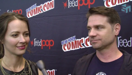 Person Of Interest Amy Acker Interview